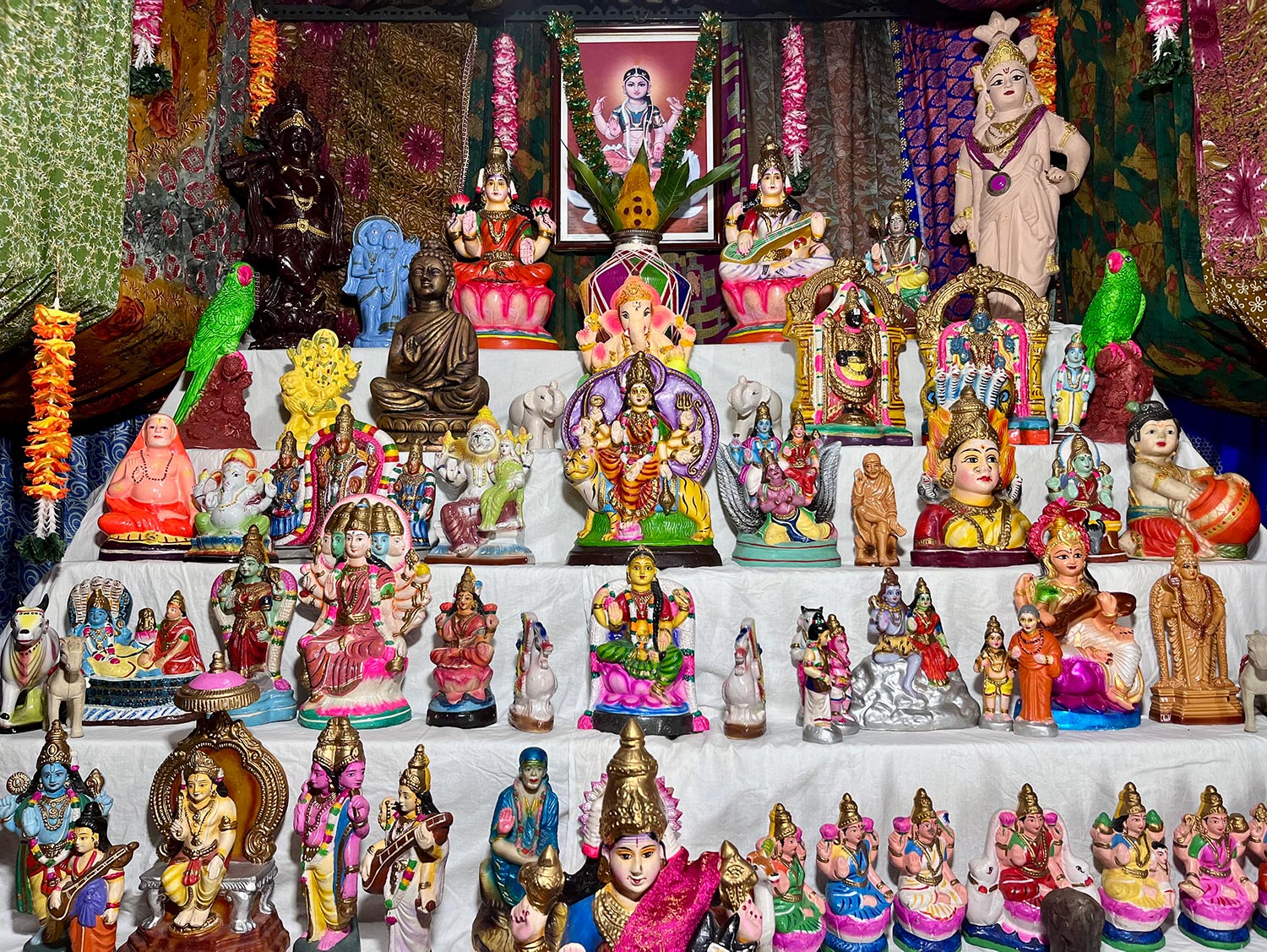Navratri Utsav 2026 - Day 1 Darshan - Image 5