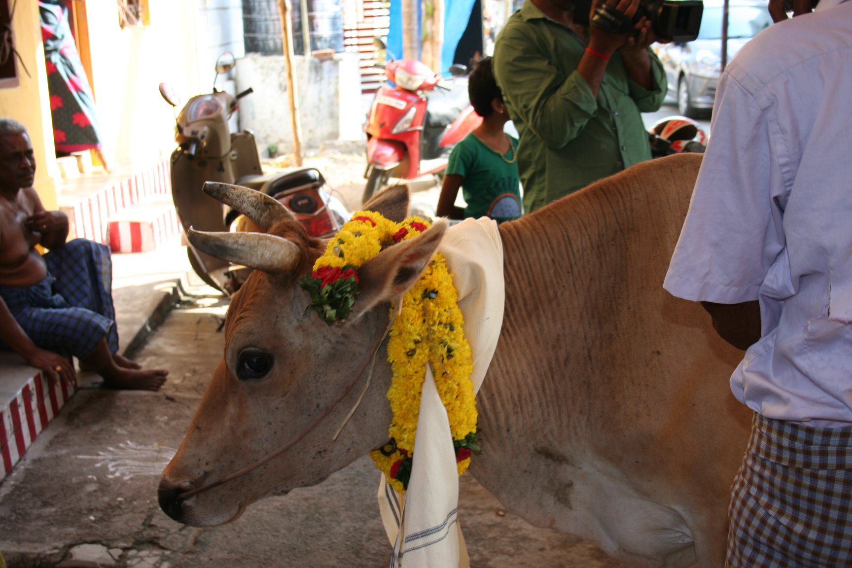 SreeMadam Sadguru Sri SadaSiva Brahmendral Aarathanai Function “Gho Pooja” 14-05-2019 Tuesda