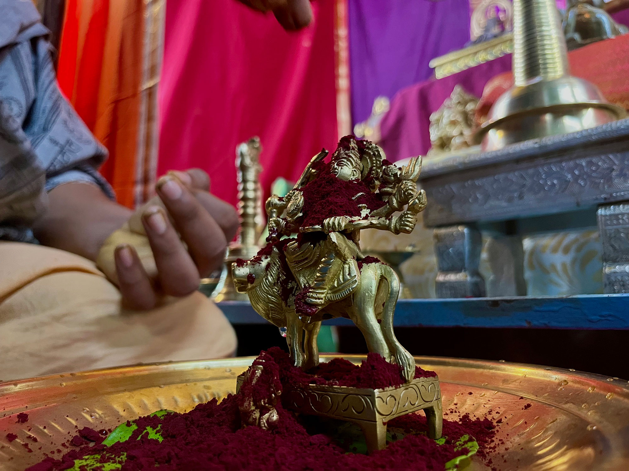 Navratri Utsav 2026 - Day 1 Darshan - Image 1