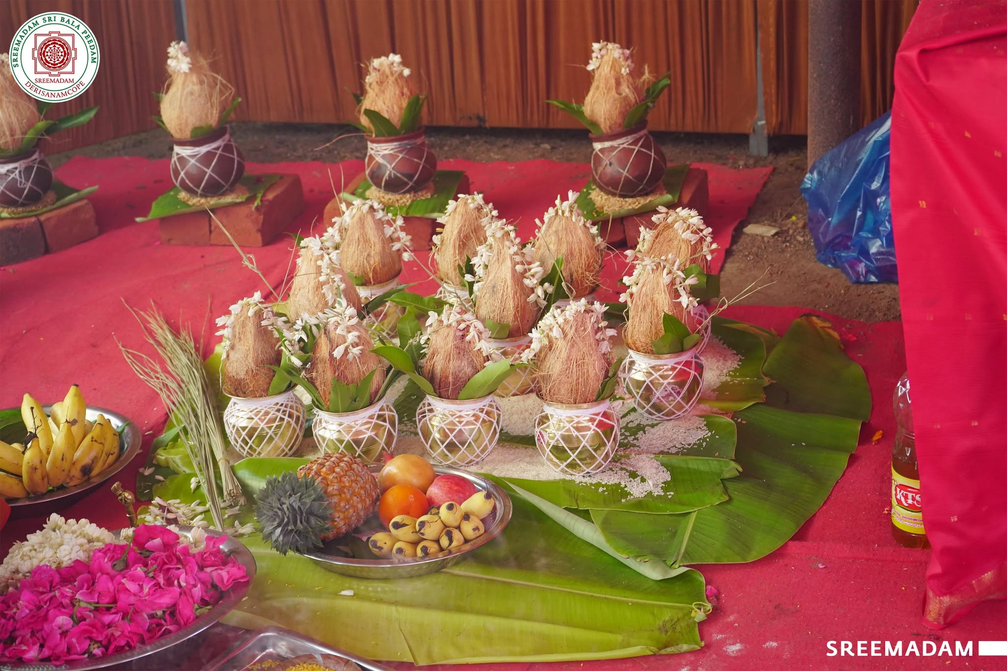 Ekadasa Rudra Homam – Sadguru Sri Sadasiva Brahmendral Aradhana Mahotsavam 2026