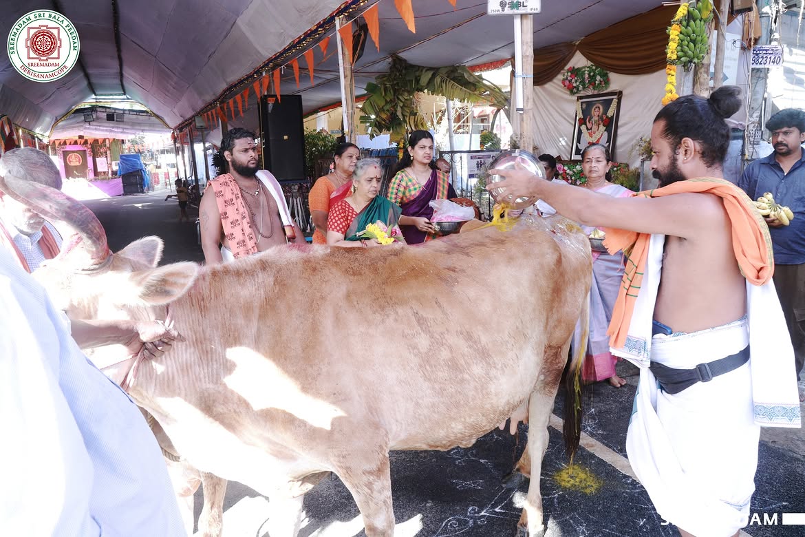 Gho Poojai at Sreemadam Sri Balapeedam
