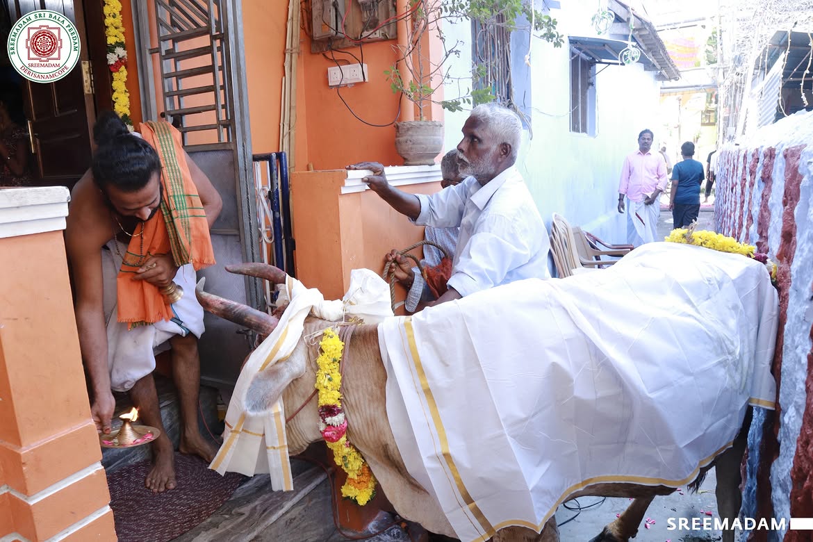 Gho Poojai at Sreemadam Sri Balapeedam
